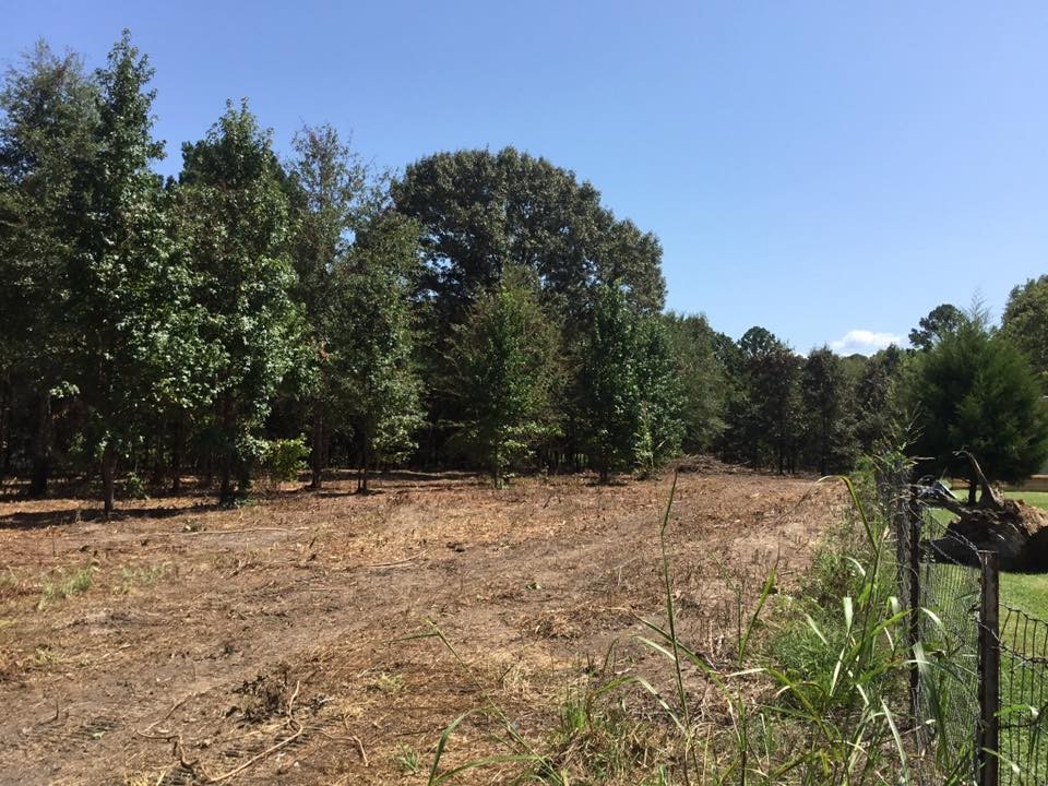Fence Line Clearing<!--StartFragment--> in Tyler, Texas<!--EndFragment-->